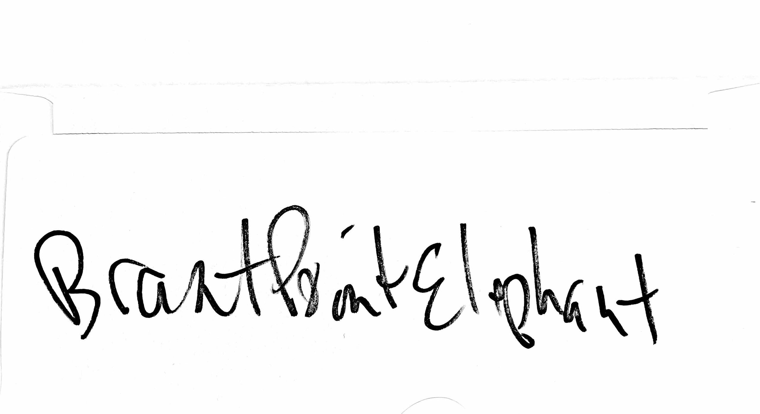 Brant Point Elephant